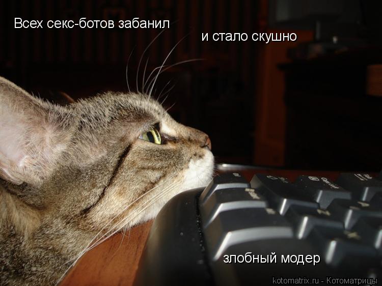 Всех секс-ботов забанил и стало скушно злобный модер... Котоматрица: Всех секс-ботов забанил и стало скушно злобный модер