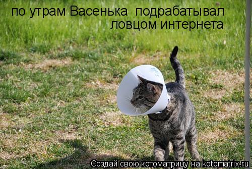 по утрам Васенька по утрам Васенька подрабатывал ловцом интернета... Котоматрица: по утрам Васенька по утрам Васенька подрабатывал ловцом интернета