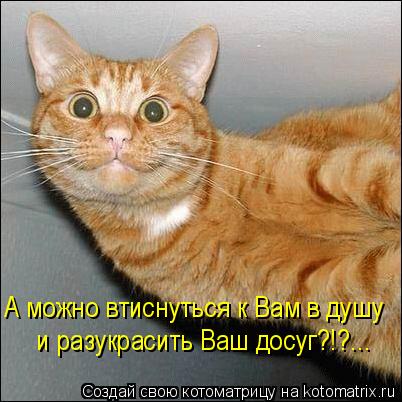 Котоматрица: А можно втиснуться к Вам в душу и разукрасить Ваш досуг?!?...