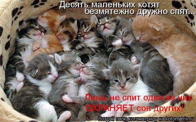 ОХРАНЯЕТ сон других! Лишь не спит один из них: безмятежно дружно спят... Десять маленьких котят... Котоматрица: ОХРАНЯЕТ сон других! Лишь не спит один из них: безмятежно дружно спят... Десять маленьких котят