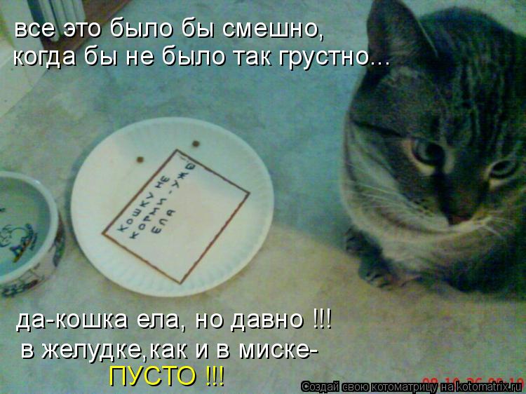 Котоматрица: все это было бы смешно, когда бы не было так грустно... да-кошка ела, но давно !!! в желудке,как и в миске- ПУСТО !!!