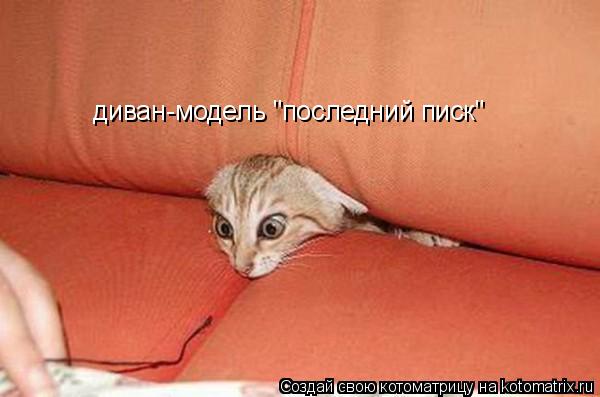 диван-модель "последний писк"... Котоматрица: диван-модель "последний писк"