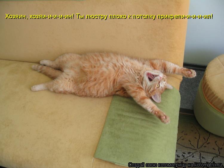 Хозяин, хозяи-и-и-и-ин! Ты люстру плохо к потолку прикрепи-и-и-и-ил!... Котоматрица: Хозяин, хозяи-и-и-и-ин! Ты люстру плохо к потолку прикрепи-и-и-и-ил!