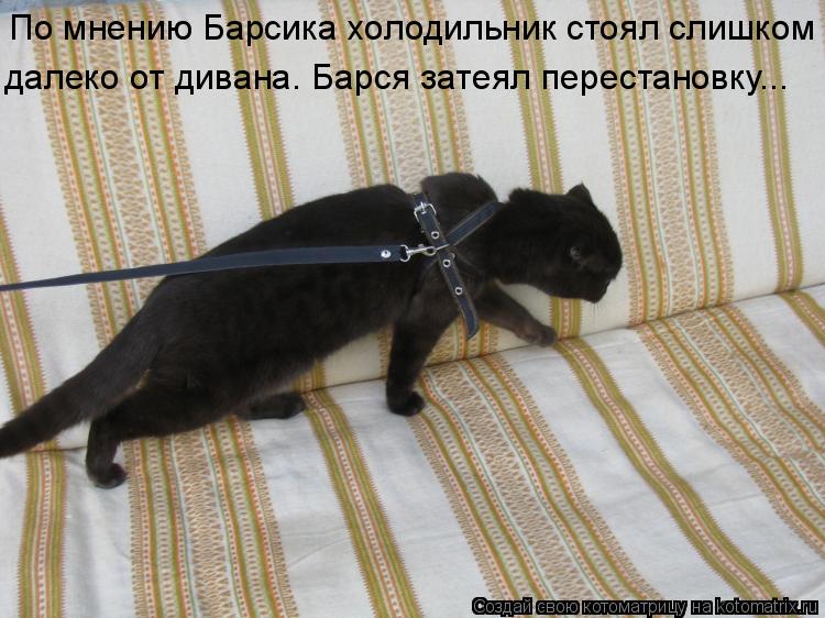 По мнению Барсика холодильник стоял слишком далеко от дивана. Барся затеял перестановку...... Котоматрица: По мнению Барсика холодильник стоял слишком далеко от дивана. Барся затеял перестановку...