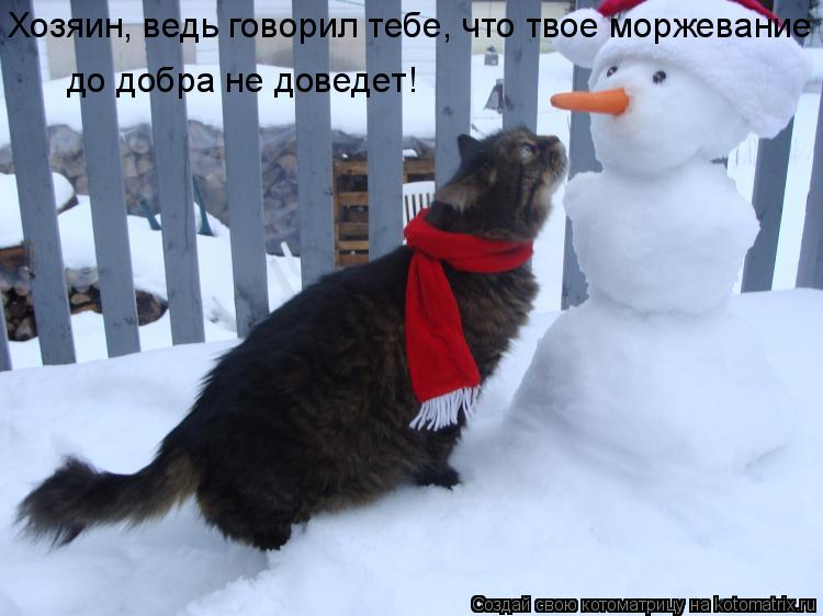 Котоматрица: Хозяин, ведь говорил тебе, что твое моржевание  до добра не доведет!