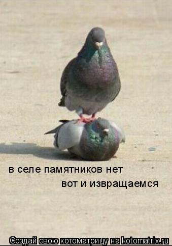 в селе памятников нет вот и извращаемся... Котоматрица: в селе памятников нет вот и извращаемся