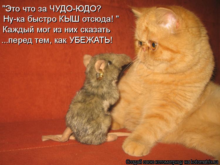 "Это что за ЧУДО-ЮДО? Ну-ка быстро КЫШ отсюда! " Каждый мог из них сказать ...перед тем, как УБЕЖАТЬ!... Котоматрица: "Это что за ЧУДО-ЮДО? Ну-ка быстро КЫШ отсюда! " Каждый мог из них сказать ...перед тем, как УБЕЖАТЬ!