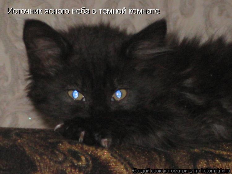Источник ясного неба в темной комнате... Котоматрица: Источник ясного неба в темной комнате