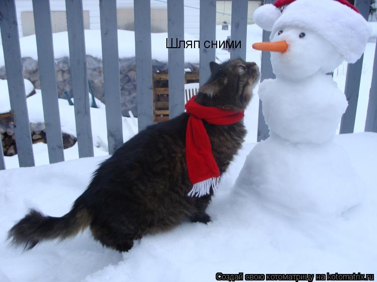 Шляп сними... Котоматрица: Шляп сними