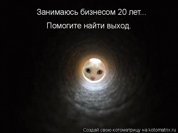 Занимаюсь бизнесом 20 лет... Помогите найти выход.... Котоматрица: Занимаюсь бизнесом 20 лет... Помогите найти выход.