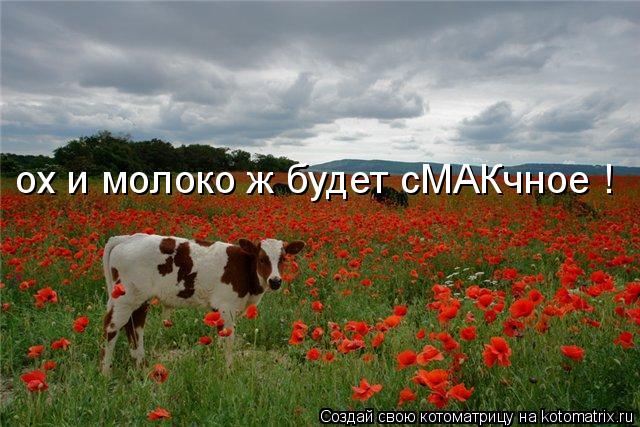 ох и молоко ж будет сМАКчное !... Котоматрица: ох и молоко ж будет сМАКчное !
