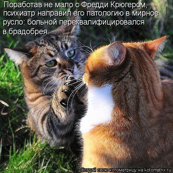 Поработав не мало с Фредди Крюгером, психиатр направил его патологию в мирное русло: больной переква... Котоматрица: Поработав не мало с Фредди Крюгером, психиатр направил его патологию в мирное русло: больной переквалифицировался в брадобрея.