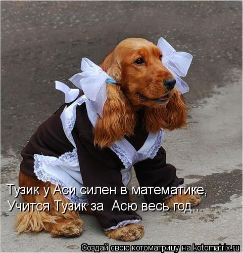 Тузик у Аси силен в математике, Учится Тузик за Асю весь год...... Котоматрица: Тузик у Аси силен в математике, Учится Тузик за Асю весь год...