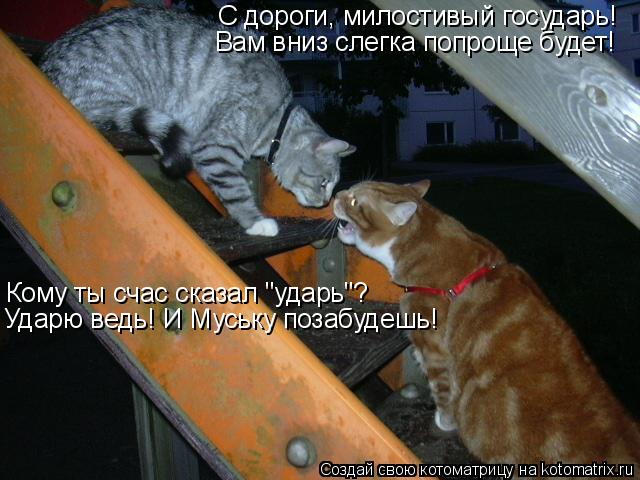 Котоматрица: С дороги, милостивый государь! Вам вниз слегка попроще будет! Кому ты счас сказал "ударь"? Ударю ведь! И Муську позабудешь!