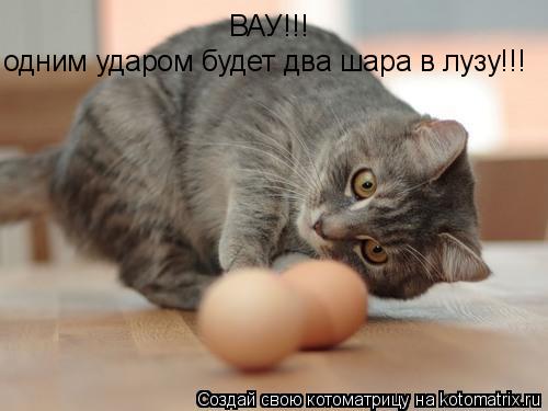 Котоматрица: ВАУ!!!  одним ударом будет два шара в лузу!!!