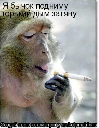 Я бычок подниму, горький дым затяну...... Котоматрица: Я бычок подниму, горький дым затяну...