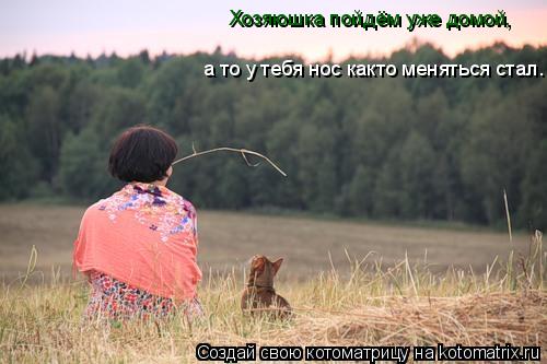 Хозяюшка пойдём уже домой, а то у тебя нос както меняться стал.... Котоматрица: Хозяюшка пойдём уже домой, а то у тебя нос както меняться стал.