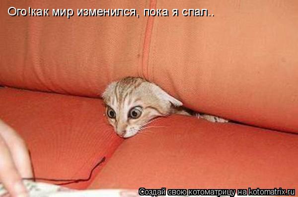 Ого!как мир изменился, пока я спал..... Котоматрица: Ого!как мир изменился, пока я спал..