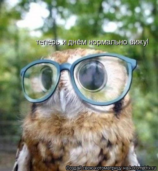 теперь и днём нормально вижу!... Котоматрица: теперь и днём нормально вижу!