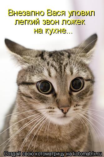 Внезапно Вася уловил легкий звон ложек на кухне...... Котоматрица: Внезапно Вася уловил легкий звон ложек на кухне...