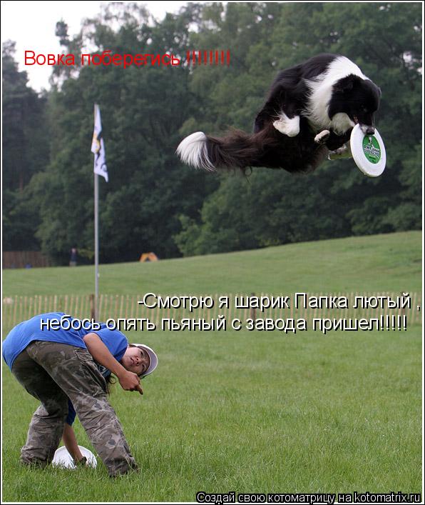Котоматрица: Вовка поберегись !!!!!!!! -Смотрю я шарик Папка лютый , небось опять пьяный с завода при -Смотрю я шарик Папка лютый , небось опять пьяный с завод