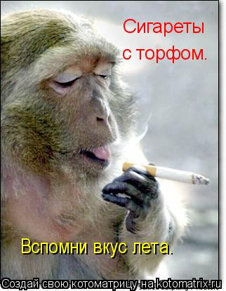Сигареты с торфом. Вспомни вкус лета.... Котоматрица: Сигареты с торфом. Вспомни вкус лета.