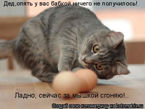 Дед,опять у вас бабкой ничего не получилось! Ладно, сейчас за мышкой сгоняю!..... Котоматрица: Дед,опять у вас бабкой ничего не получилось! Ладно, сейчас за мышкой сгоняю!..