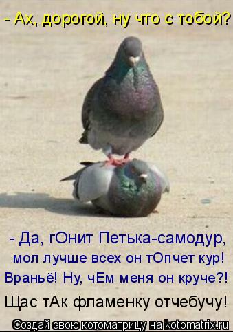- Ах, дорогой, ну что с тобой? - Да, гОнит Петька-самодур, мол лучше всех он тОпчет кур! Враньё! Ну, ... Котоматрица: - Ах, дорогой, ну что с тобой? - Да, гОнит Петька-самодур, мол лучше всех он тОпчет кур! Враньё! Ну, чЕм меня он круче?! Щас тАк фламенку отчебучу!