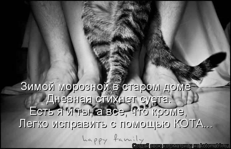 Котоматрица: Зимой морозной в старом доме Дневная стихнет суета. Есть я и ты, а все, что кроме, Легко исправить с помощью КОТА...