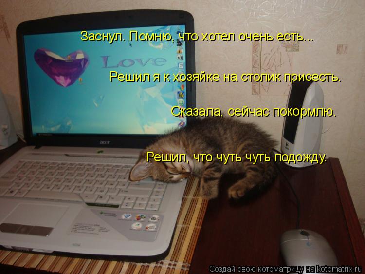 Заснул. Помню, что хотел очень есть... Решил я к хозяйке на столик присесть. Сказала, сейчас покормлю... Котоматрица: Заснул. Помню, что хотел очень есть... Решил я к хозяйке на столик присесть. Сказала, сейчас покормлю. Решил, что чуть чуть подожду.
