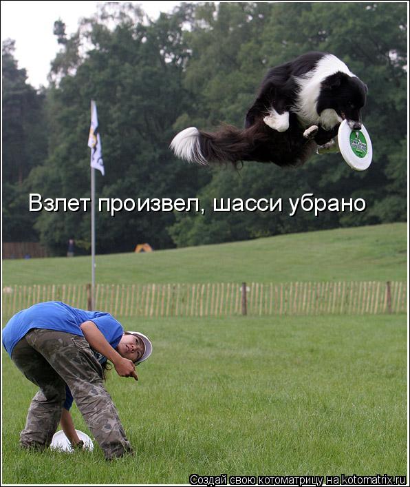 Взлет произвел, шасси убрано... Котоматрица: Взлет произвел, шасси убрано