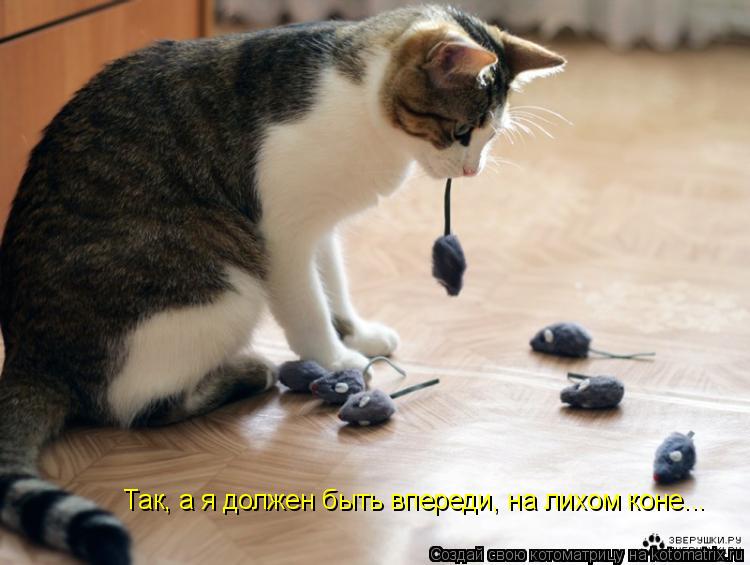 Так, а я должен быть впереди, на лихом коне...... Котоматрица: Так, а я должен быть впереди, на лихом коне...