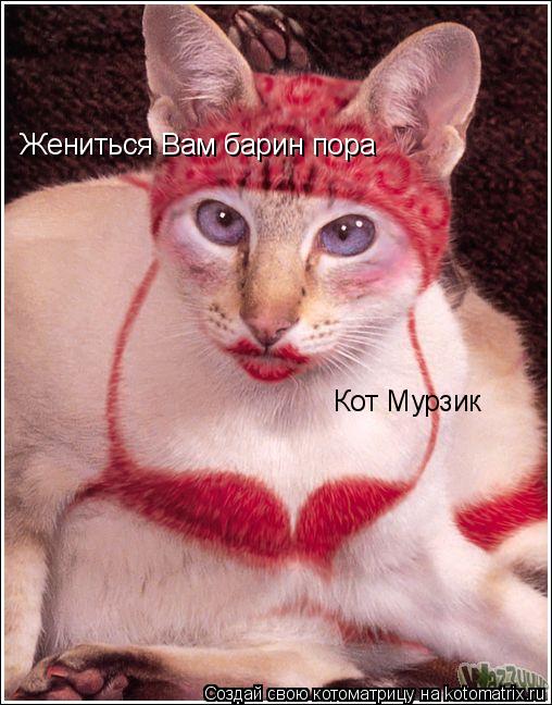 Жениться Вам барин пора Кот Мурзик... Котоматрица: Жениться Вам барин пора Кот Мурзик