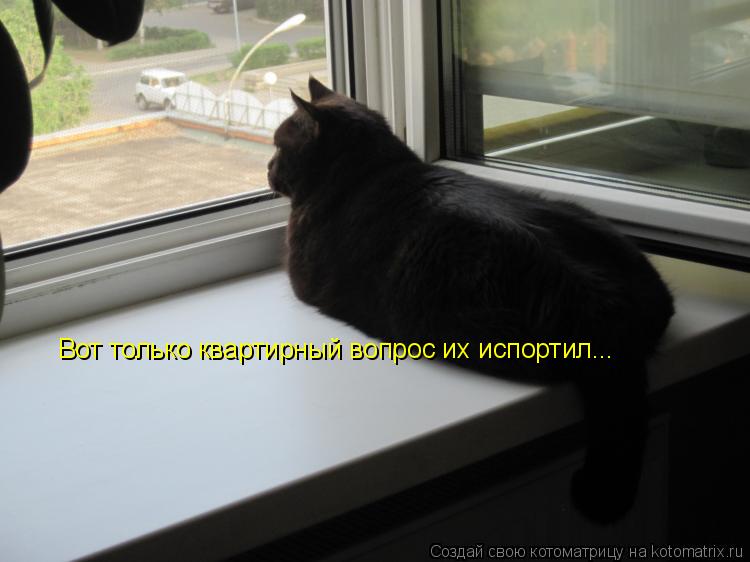 Вот только квартирный вопрос их испортил...... Котоматрица: Вот только квартирный вопрос их испортил...