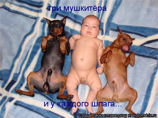 три мушкитёра и у каждого шпага...... Котоматрица: три мушкитёра и у каждого шпага...