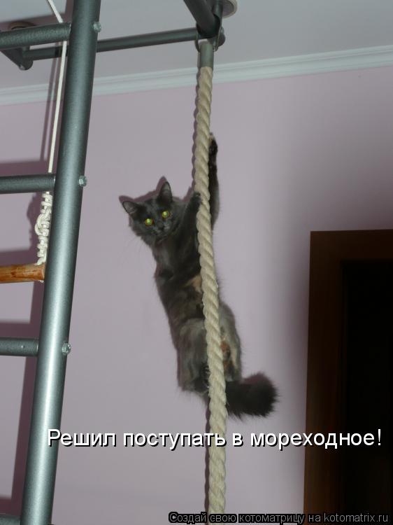 Решил поступать в мореходное!... Котоматрица: Решил поступать в мореходное!