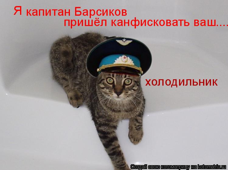 Я капитан Барсиков пришёл канфисковать ваш ...... холодильник... Котоматрица: Я капитан Барсиков пришёл канфисковать ваш ...... холодильник