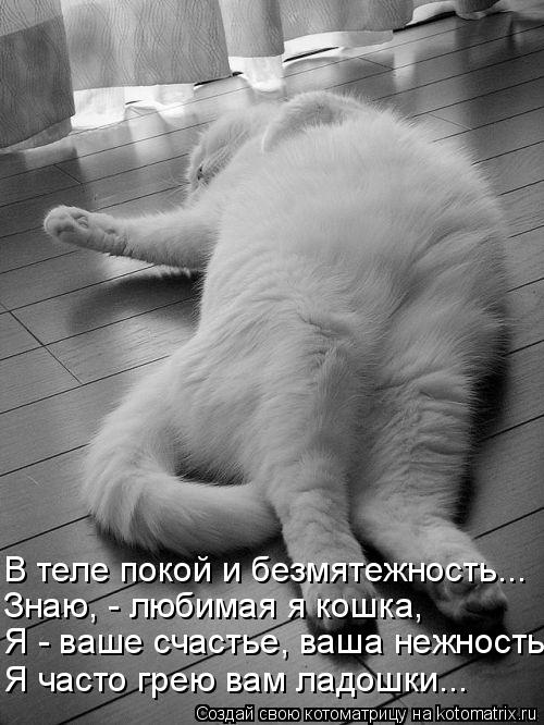 В теле покой и безмятежность... Знаю, - любимая я кошка, Я - ваше счастье, ваша нежность, Я часто гре... Котоматрица: В теле покой и безмятежность... Знаю, - любимая я кошка, Я - ваше счастье, ваша нежность, Я часто грею вам ладошки...