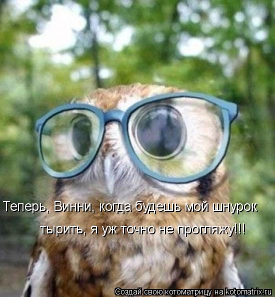 Котоматрица: Теперь, Винни, когда будешь мой шнурок  тырить, я уж точно не прогляжу!!!