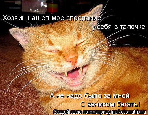 Котоматрица: Хозяин нашел мое спослание у себя в тапочке А не надо было за мной С веником бегать!