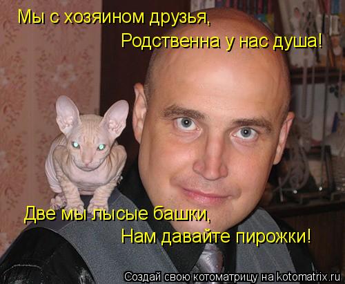 Котоматрица: Мы с хозяином друзья, Родственна у нас душа! Две мы лысые башки, Нам давайте пирожки!