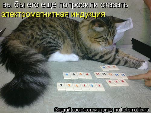 Котоматрица: вы бы его ещё попросили сказать электромагнитная индукция