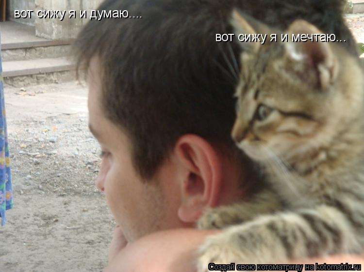 вот сижу я и думаю.... вот сижу я и мечтаю...... Котоматрица: вот сижу я и думаю.... вот сижу я и мечтаю...