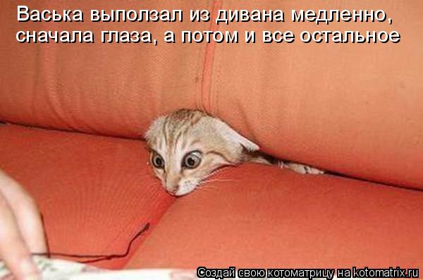 Васька выползал из дивана медленно, сначала глаза, а потом и все остальное... Котоматрица: Васька выползал из дивана медленно, сначала глаза, а потом и все остальное