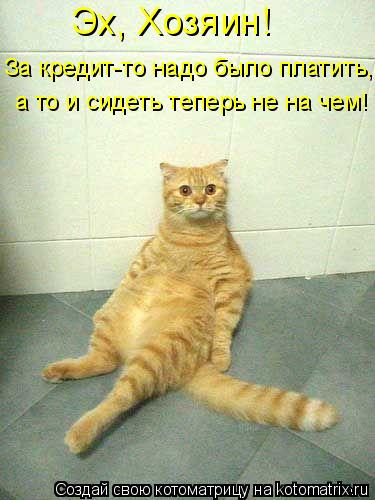 Котоматрица: Эх, Хозяин! За кредит-то надо было платить, а то и сидеть теперь не на чем!