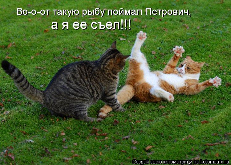 Во-о-от такую рыбу поймал Петрович, а я ее съел!!!... Котоматрица: Во-о-от такую рыбу поймал Петрович, а я ее съел!!!