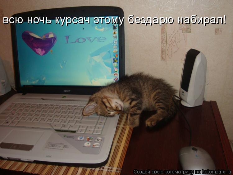 всю ночь курсач этому бездарю набирал!... Котоматрица: всю ночь курсач этому бездарю набирал!