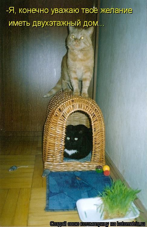 -Я, конечно уважаю твоё желание иметь двухэтажный дом...... Котоматрица: -Я, конечно уважаю твоё желание иметь двухэтажный дом...
