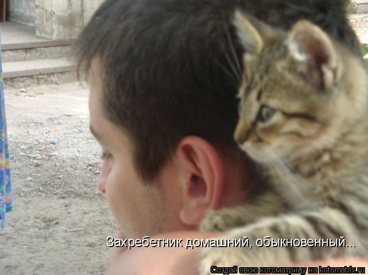 Захребетник домашний, обыкновенный...... Котоматрица: Захребетник домашний, обыкновенный...
