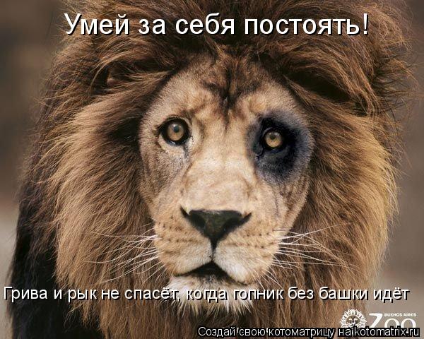 Умей за себя постоять! Грива и рык не спасёт, когда гопник без башки идёт... Котоматрица: Умей за себя постоять! Грива и рык не спасёт, когда гопник без башки идёт